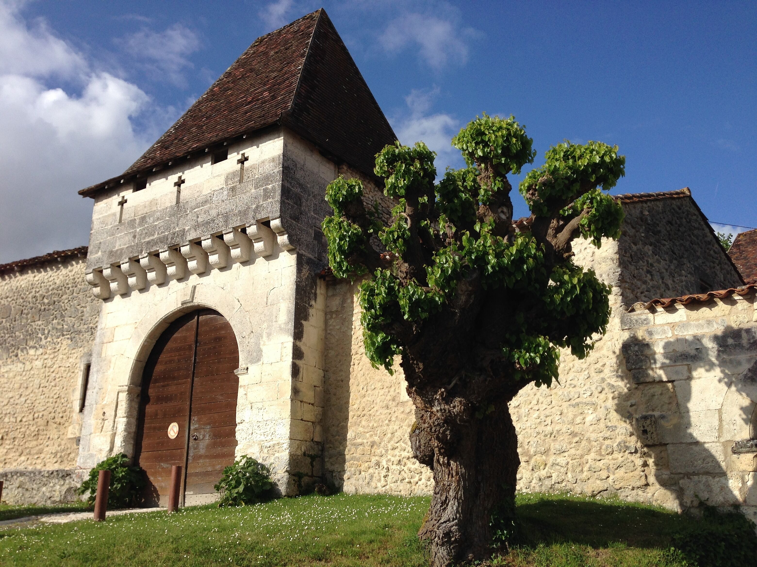 Chateau in Lusignac