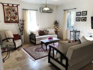 Smart TV, video games, Netflix, DVD player