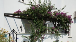 A white building with a stone pathway leading to a door, surrounded by flowering plants and a small garden.