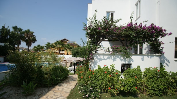 A white building with a stone pathway leading to a pool, surrounded by lush greenery and flowering plants.