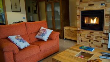 TV connectée, cheminée, lecteur de DVD, livres