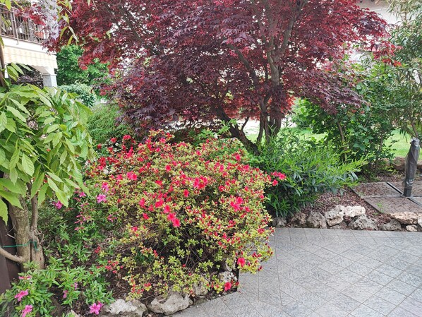 المنطقة المحيطة بالمنشأة