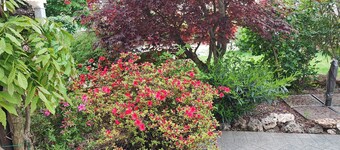 B & B Das Haus Gattinara