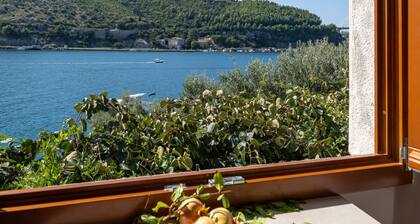 Historic Grand Villa Sur La Mer Adriatique avec piscine privée et vue sur la mer