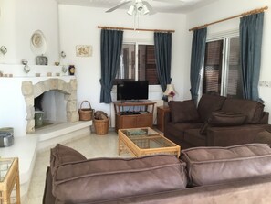 Televisión, chimenea, reproductor de DVD y libros 