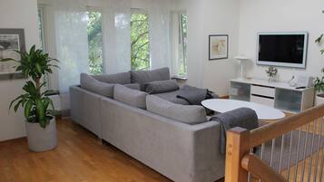 Smart TV, fireplace, stereo
