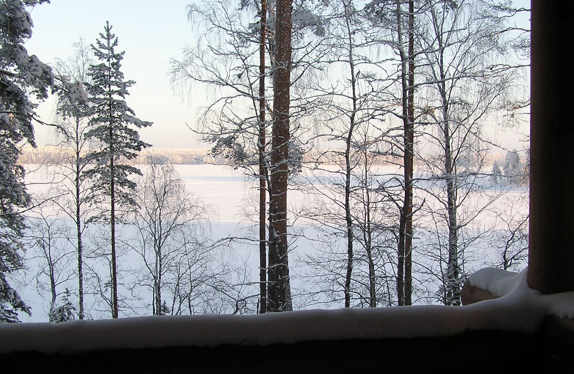 Une vue d’un paysage enneigé, avec de grands arbres et une étendue d’eau gelée.