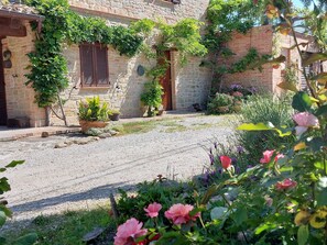 En innergård med stenmurar, en grusgång och planterade blommor i krukor.
