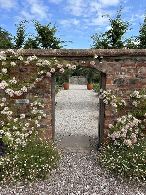 Área da propriedade