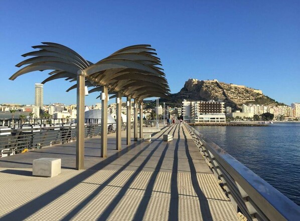 Terrain de l’hébergement 