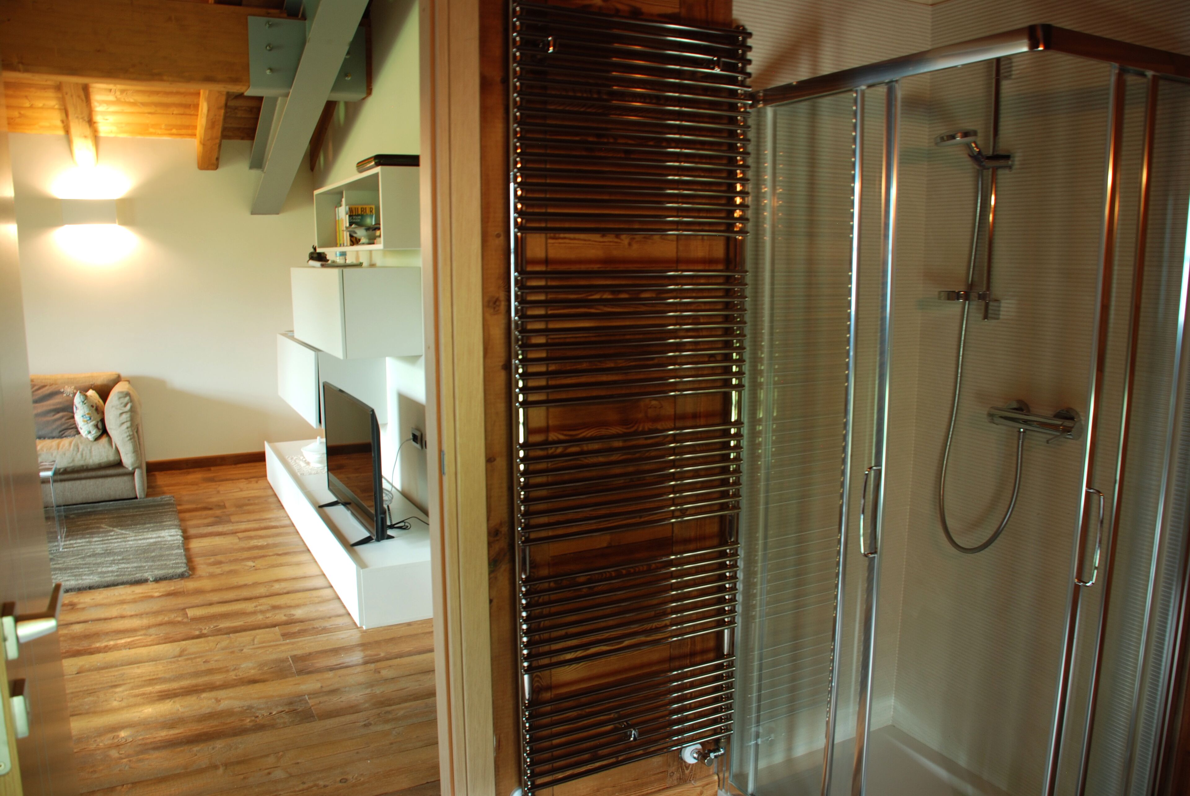 Une salle de bain moderne dotée d’une douche à parois de verre, d’un plancher en bois et d’un coin salon intégré avec un téléviseur.