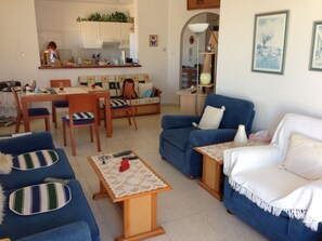 TV, DVD player, books, music library