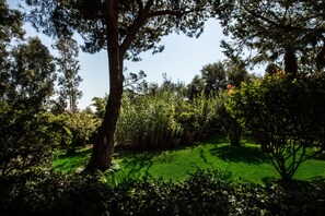 Terrain de l’hébergement 