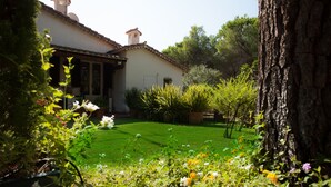 Une maison avec une pelouse bien entretenue et diverses plantes dans le jardin.