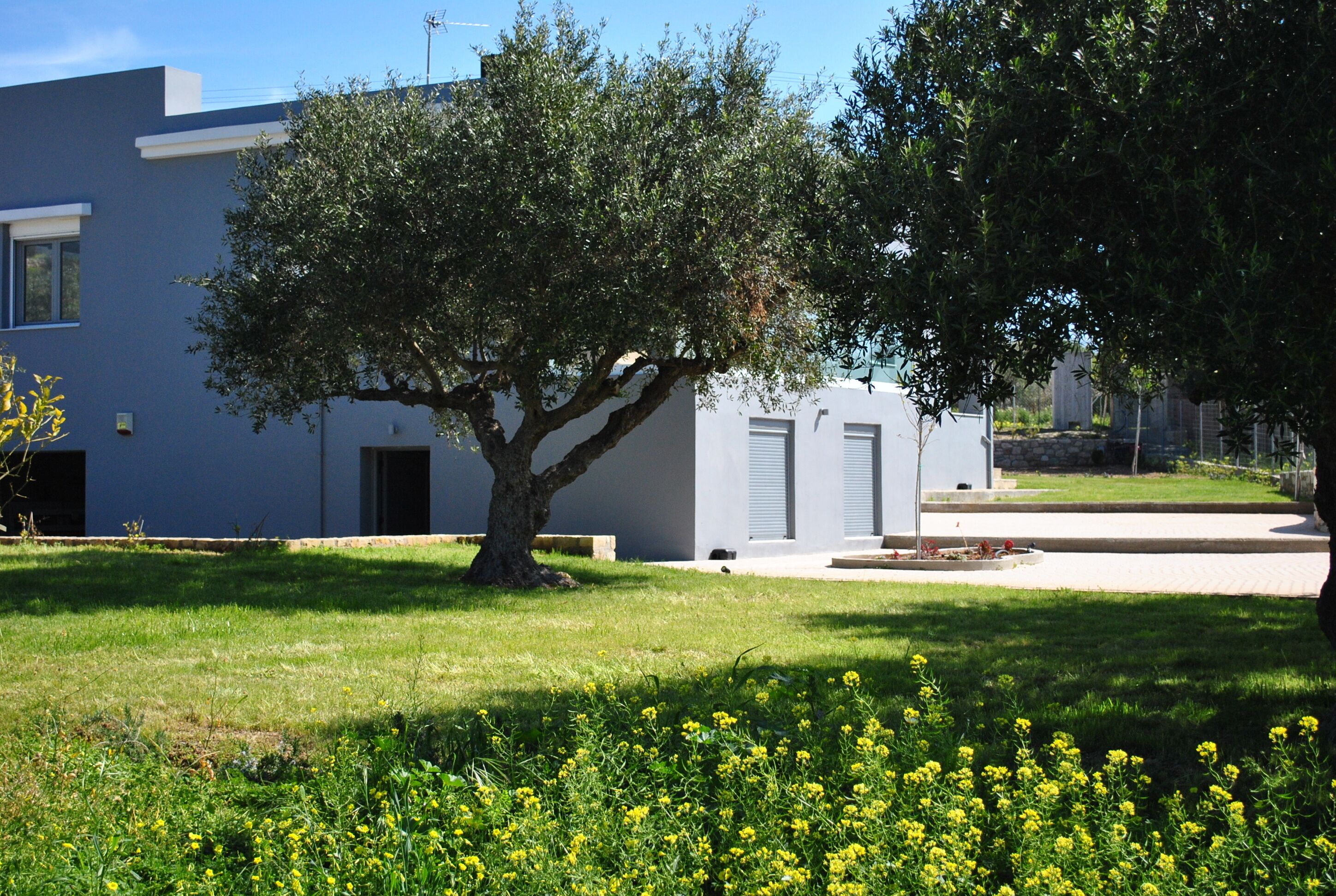 Villa Marmelada lies among olive groves in Ierapetra, Crete, Greece