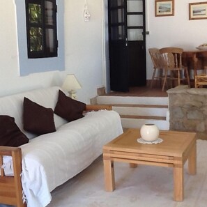 Smart TV, fireplace, DVD player, books