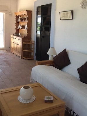 Smart TV, fireplace, DVD player, books