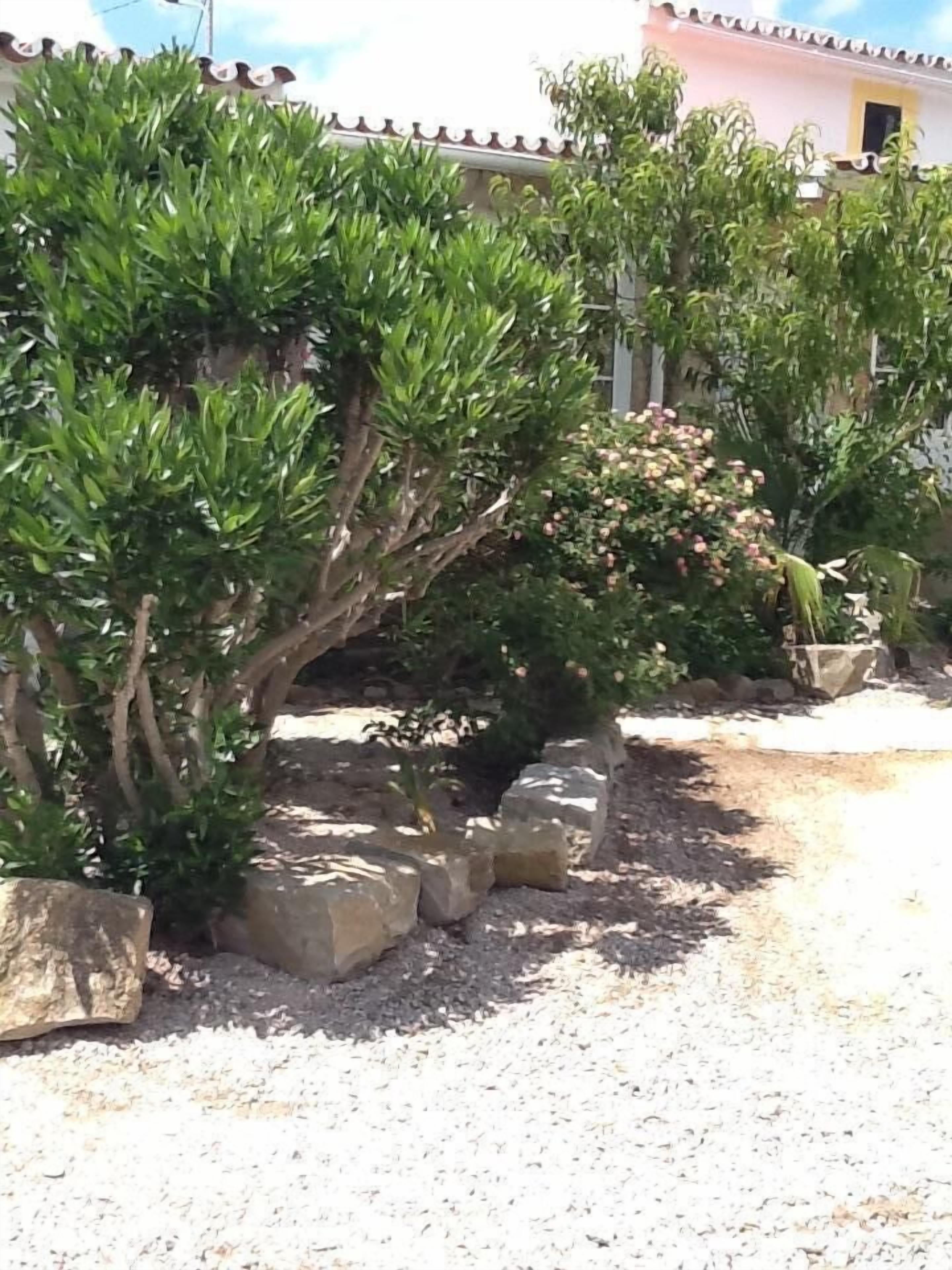 Un jardin agrémenté de diverses plantes et de rochers.
