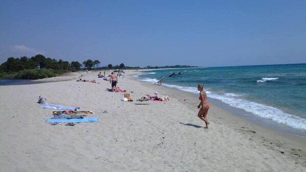 Vlak bij het strand