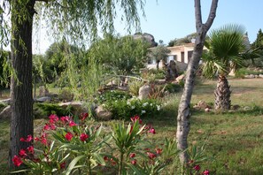 Property grounds - Pianottoli Caldarello: House / Villa - Pianottoli - CaldarelloHouse with garden (Pianottoli-Caldarello)