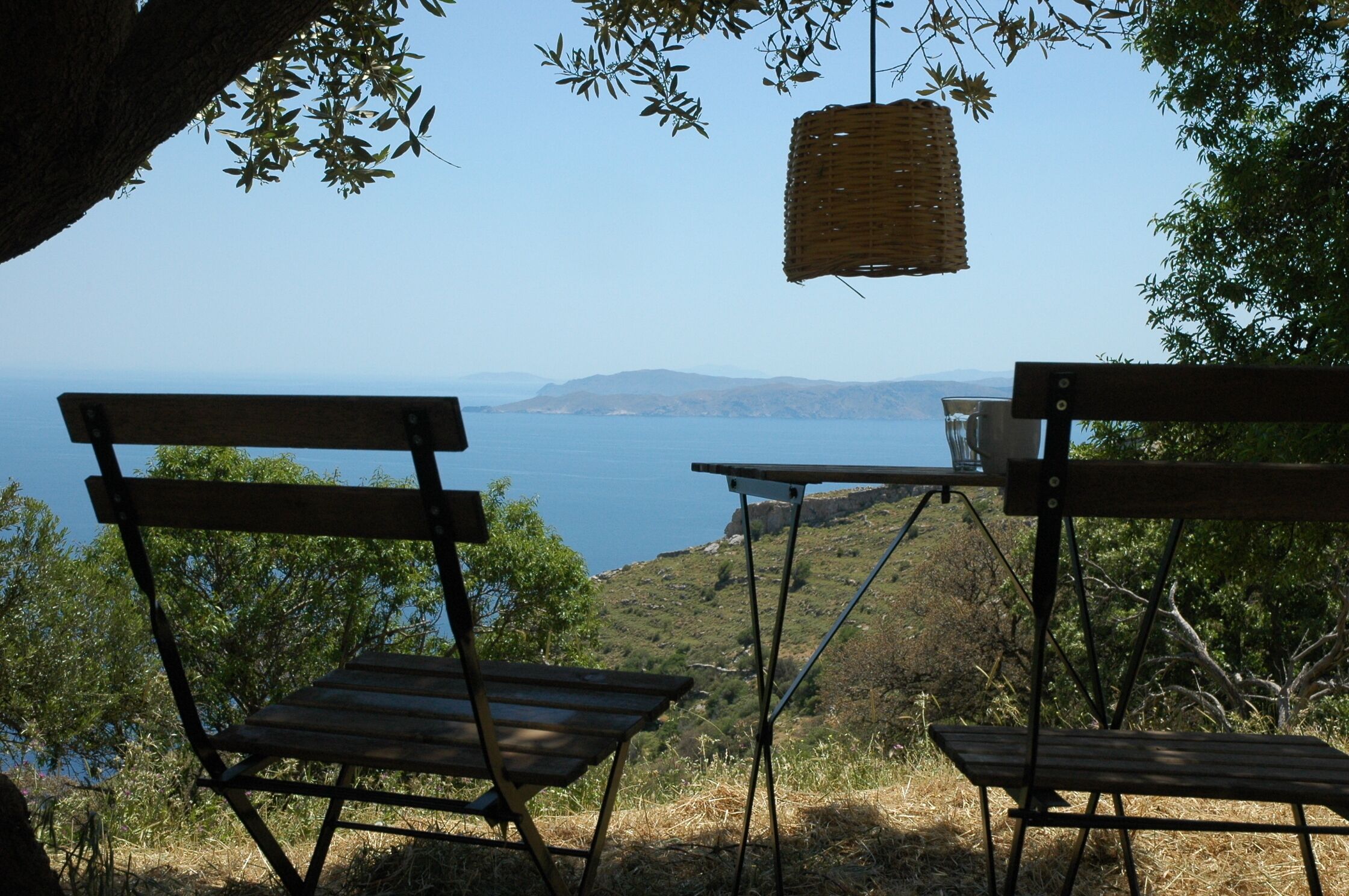 Under the olive tree, gazing at Kythnos and Serifos
