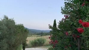 A gravel path leading through a rural landscape with greenery and distant hills.