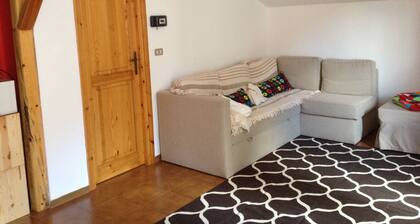 WARM ONE-ROOM APARTMENT WITH MOUNTAIN LOFT