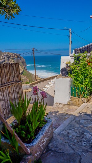 A coastal view with a stone pathway leading to the sea, a bamboo fence, and a concrete planter with plants.
