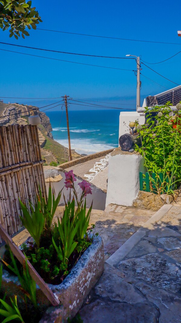A coastal view with a stone pathway leading to the sea, a bamboo fence, and a concrete planter with plants.
