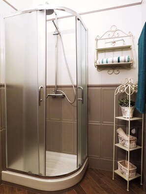 Shower, hair dryer, bidet, towels
