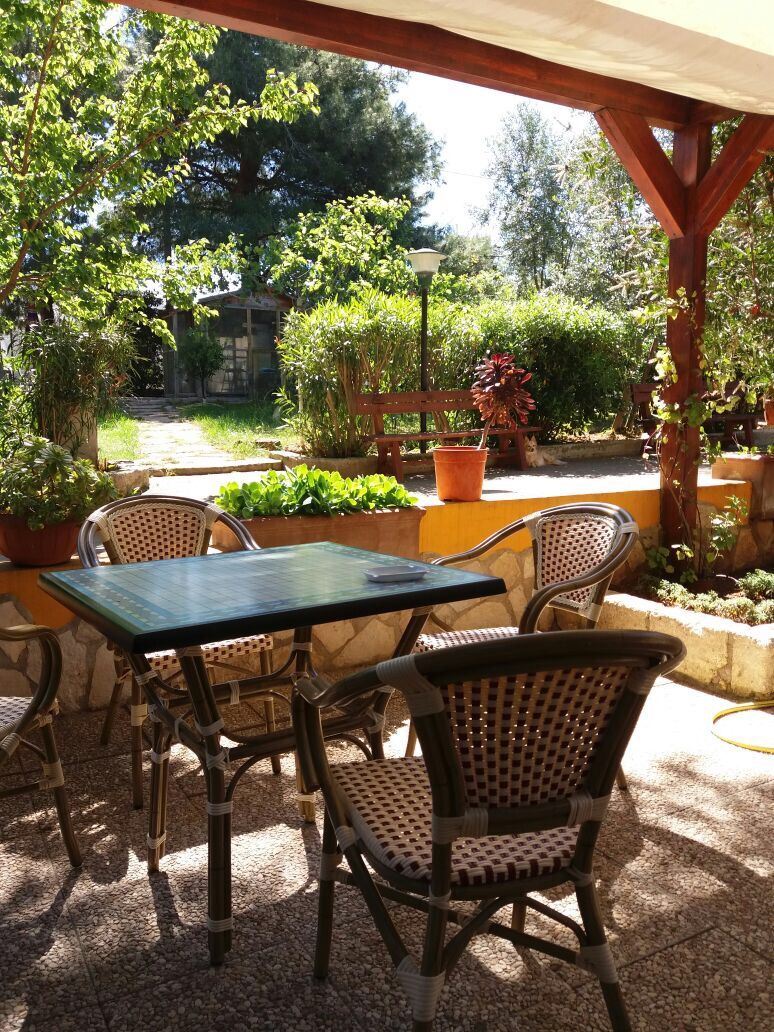 An outdoor patio with a table and chairs, surrounded by potted plants and a stone floor.