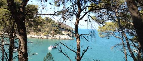 A coastal view with a boat docked near the shore, surrounded by trees and a clear sky.