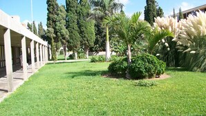 Un patio con un césped cuidado, palmeras y altos cipreses.