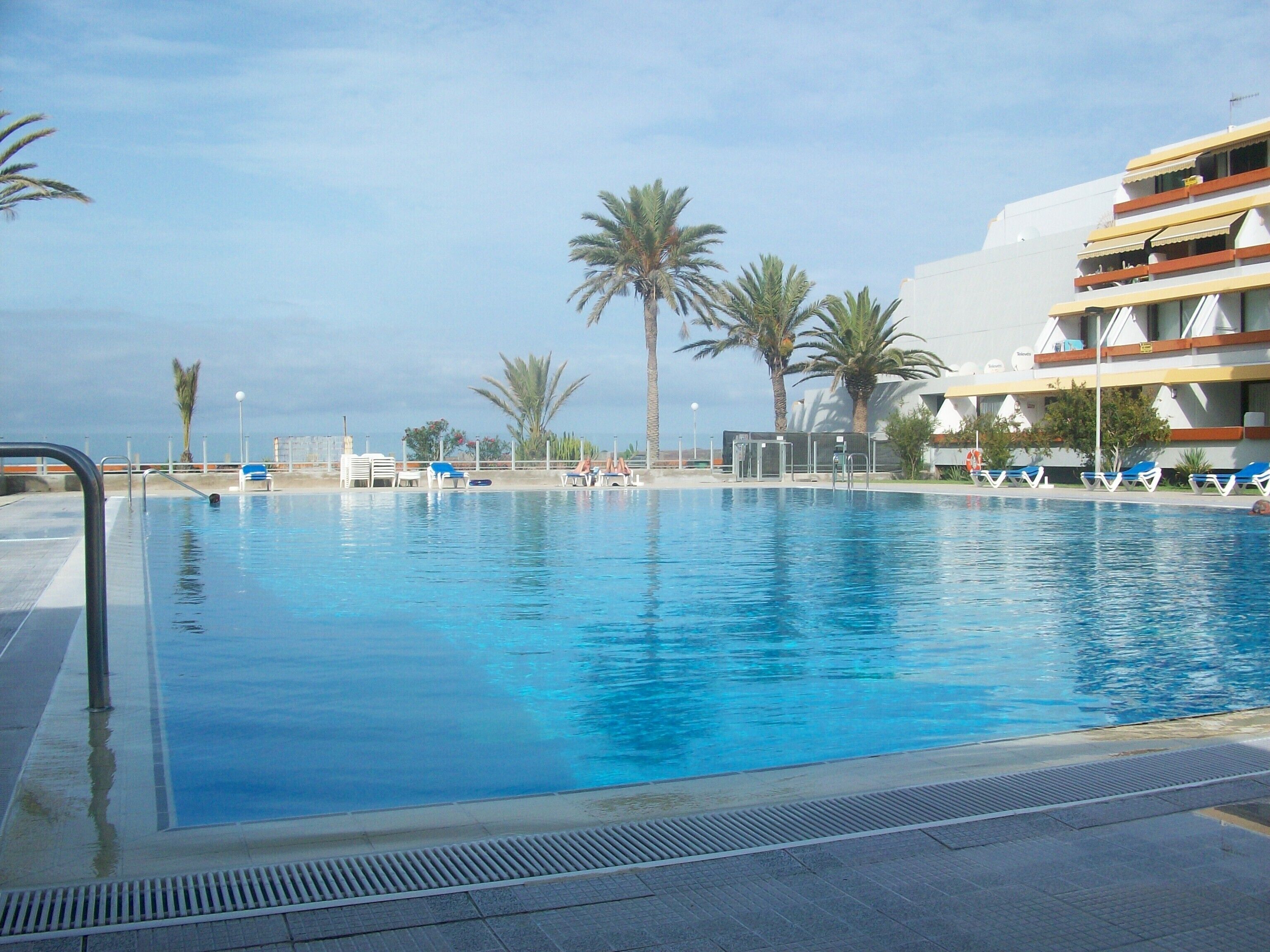 Une piscine à l’eau d’un bleu cristallin, entourée de palmiers et bordée d’un bâtiment doté de balcons.