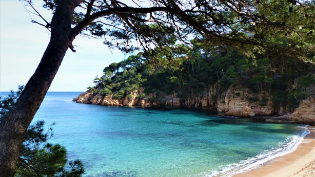 A beach with clear turquoise water, sandy shore, and a rocky cliff with trees. - Villa with spectacular sea views and private pool in Begur (Begur)