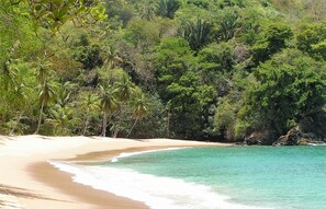 Perto da praia, toalhas de praia 