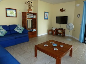 TV, DVD player, books, video library