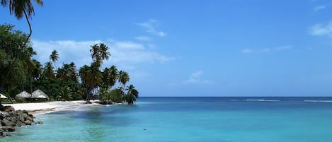 Vlak bij het strand, strandlakens