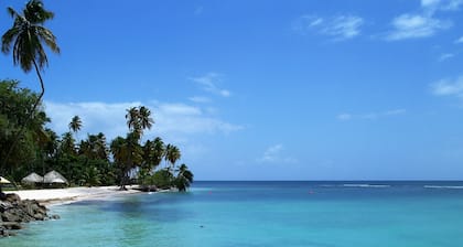 Villa Mahogany - Villa de luxe située dans de beaux jardins tropicaux