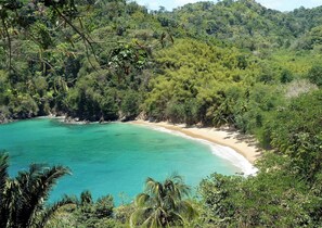 Un paisaje costero con una playa de arena y aguas turquesas, rodeado de frondosa vegetación verde.