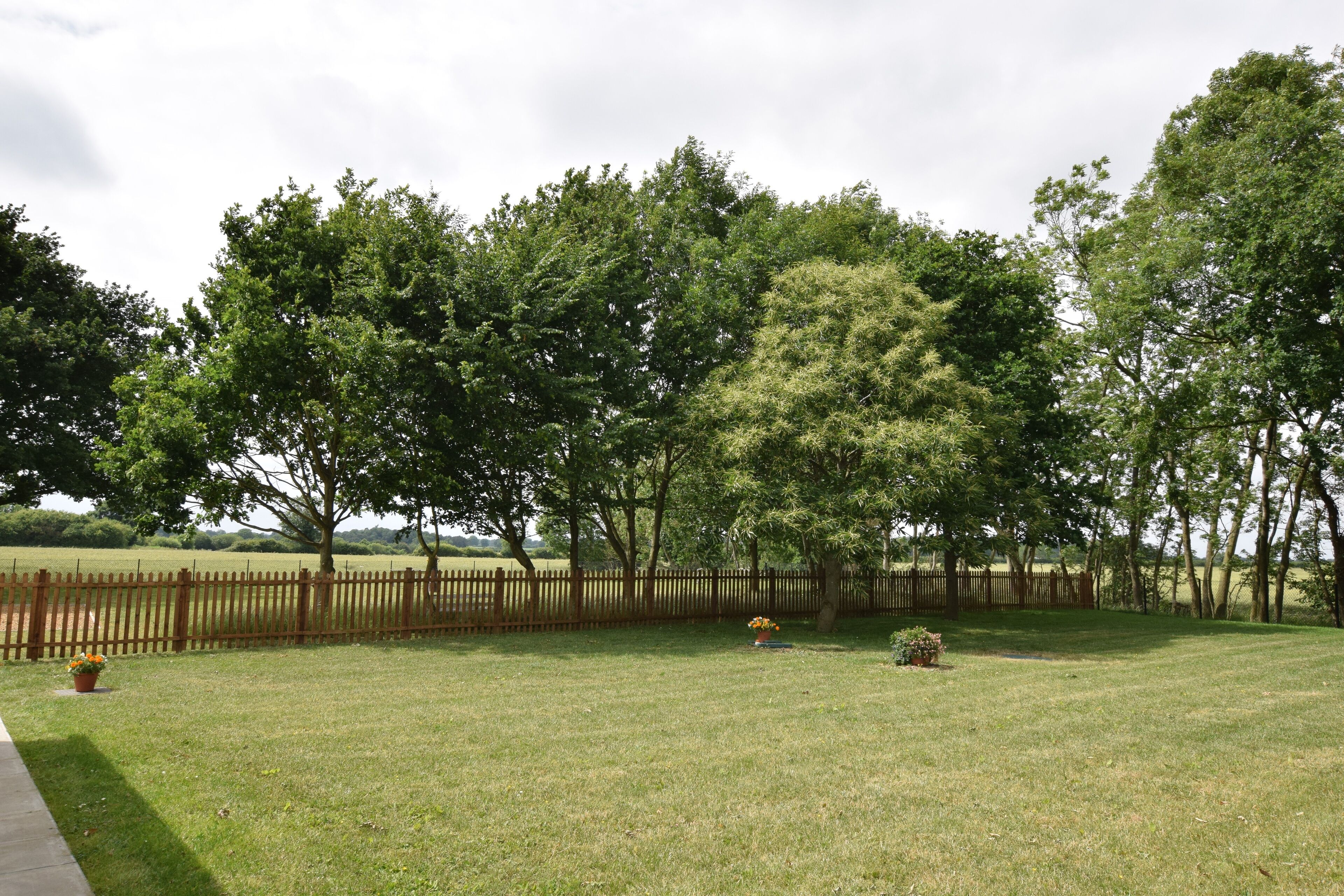 A grassy area with a wooden fence and trees.