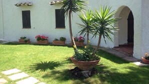 A courtyard with a white building, potted plants, and a palm tree.