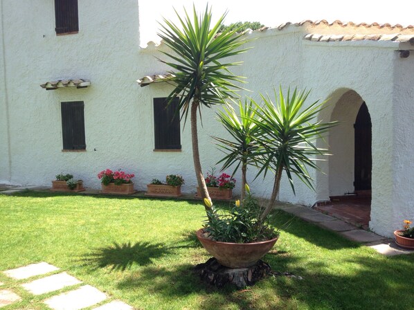A courtyard with a white building, potted plants, and a palm tree.