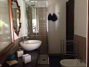 Shower, hair dryer, bidet, soap