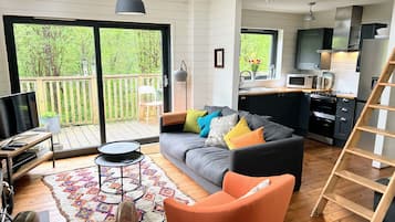 TV, fireplace, DVD player, books