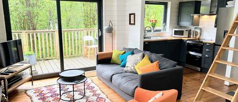 TV, fireplace, DVD player, books