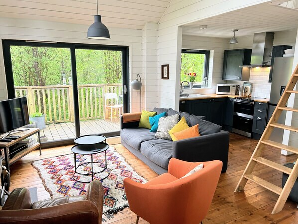 TV, fireplace, DVD player, books