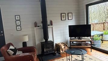 TV, fireplace, DVD player, books