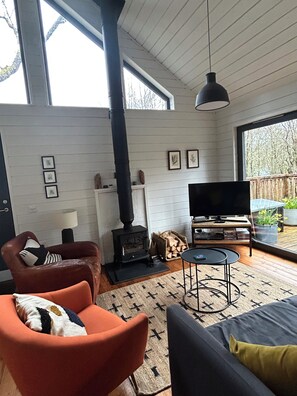 TV, fireplace, DVD player, books