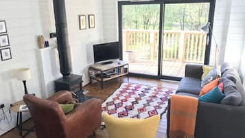 TV, fireplace, DVD player, books